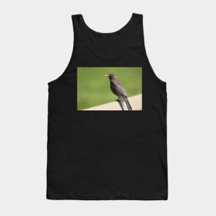 I'm Sexy And You Know It Tank Top